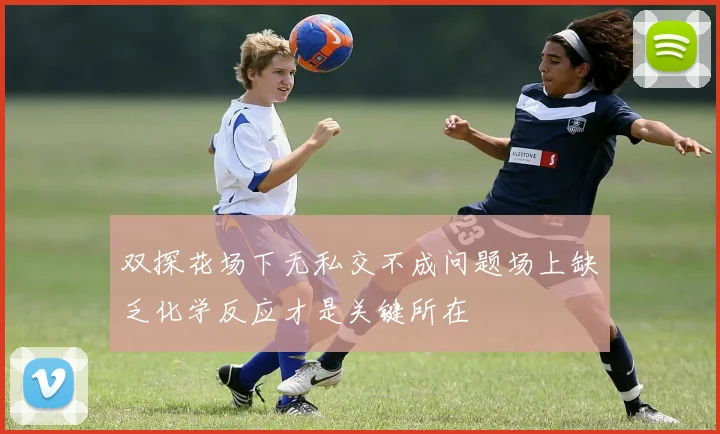 双探花场下无私交不成问题场上缺乏化学反应才是关键所在